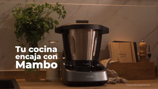 mambo 11090 vs 9590 vs 8590 vs 6090 diferencias opiniones