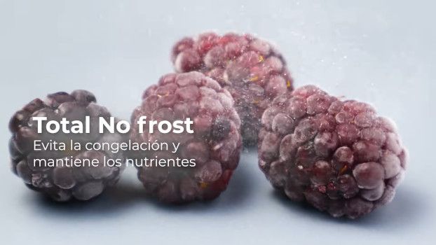 sistema total no frost evita la congelacion