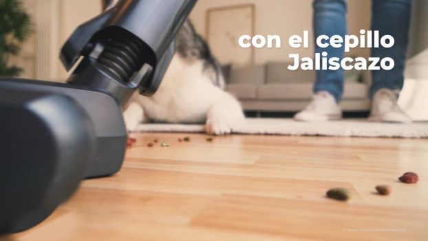cepillo jaliscazo